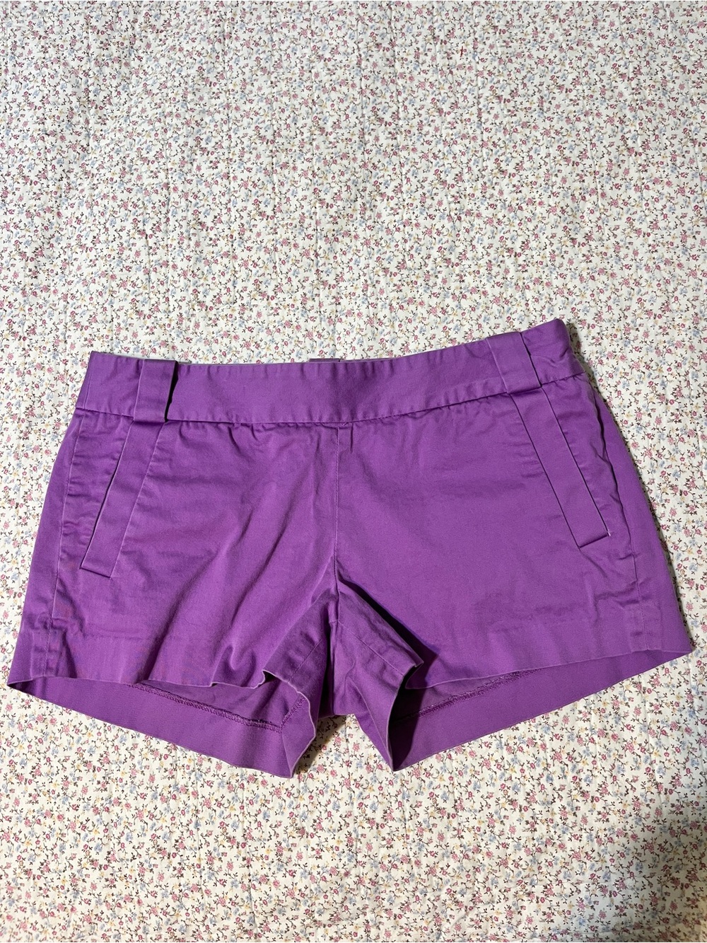 J Crew Purple Women's Casual Shorts. Size 6